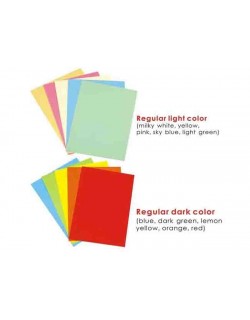 PAPIER A4 COULEUR 80 Gsm CP6080-250