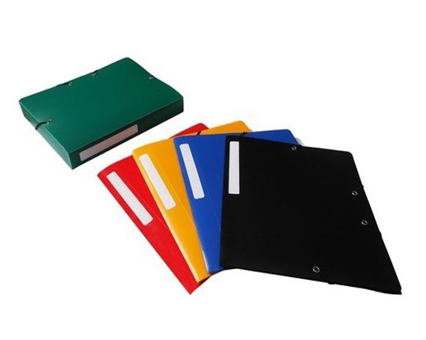 BOITE DE CLASSEMENT CARTONEE ELASTIQUE D40 -1202