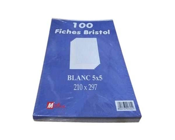 FICHES BRISTOL 210 X297 QUAD 5X5 BLANC VELIN 29713 ELVE