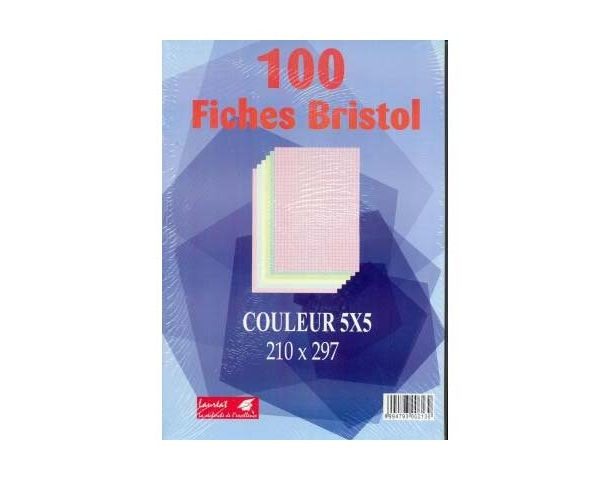 FICHES BRISTOL 210 X297 QUAD 5X5 COULEURS ASS / B297 ELVE