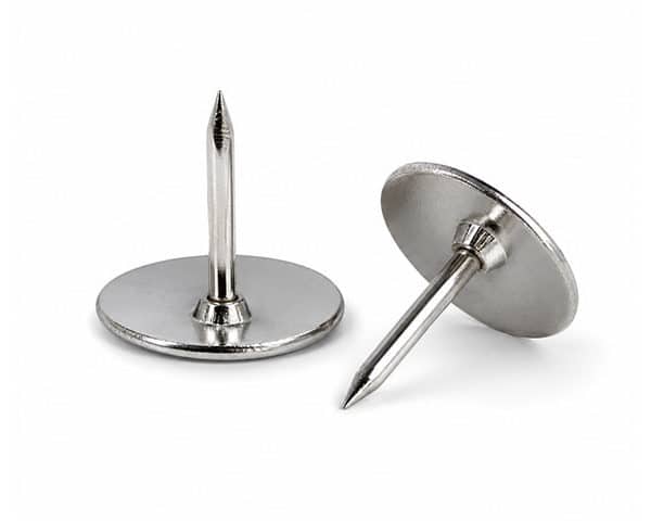 PUNAISE LAITONNE BJ-4501