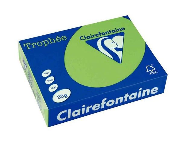 PAPIER A3 CLAIREFONTAINE COULEUR VERT
