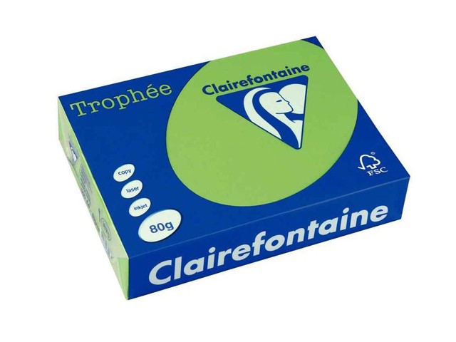 PAPIER A3 CLAIREFONTAINE COULEUR VERT