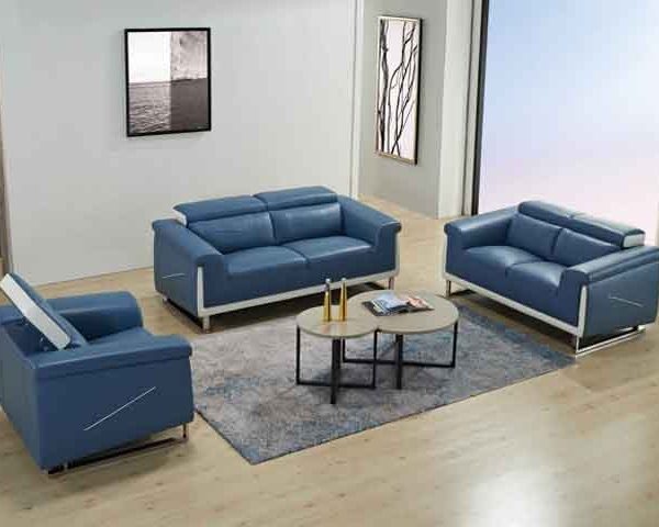 SALON CUIR 7 PLACES FM336 BLUM COULEUR LA22/MEUVE LA21