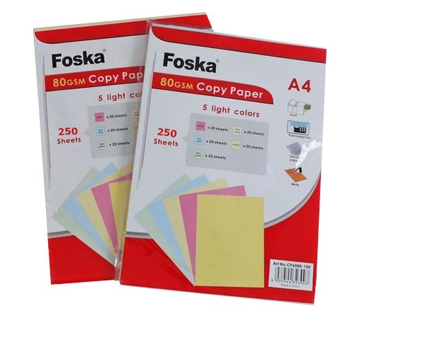 PAPIER A4 COULEUR 80 Gsm CP6080-250