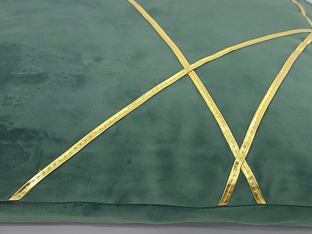 COUSSIN 46X46 VERT DOREE