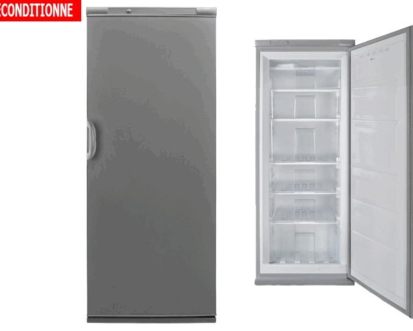 CONGELATEUR VERTICAL 251L FINIX GT/2451A 6 TIROI GRIS 54X59X145 RECON