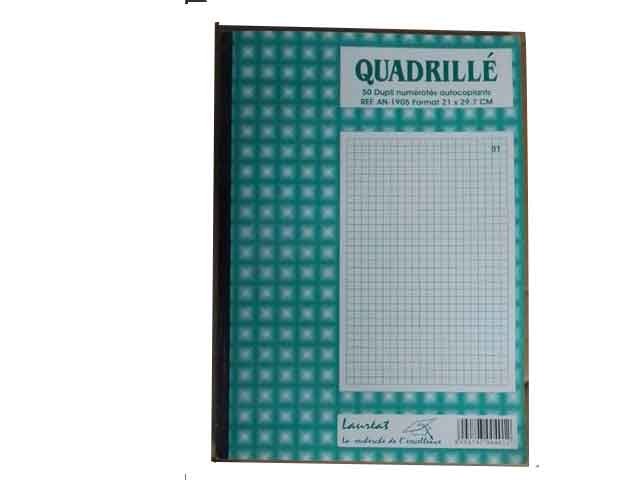 MANIFOLD DUPLI 21X29