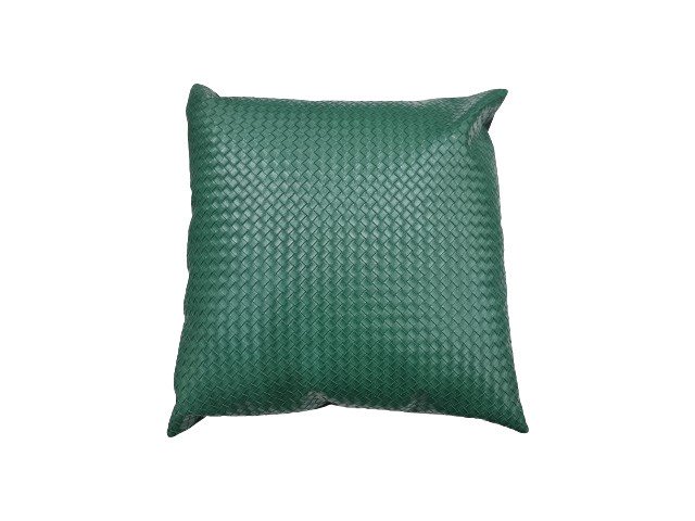COUSSIN 43X43 REF 01 COULEUR VERTE
