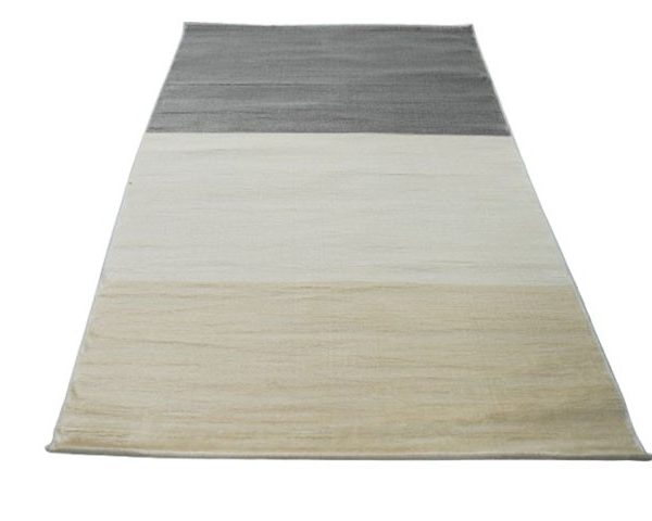 MOQUETTE REF S505 160X230 COULEUR BEIGE GRIS
