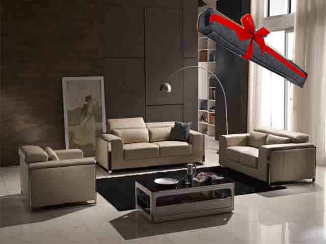 salon en cuir fm 219