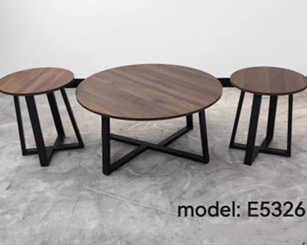 TABLE BASSE REF E5326 SET DE 3 PCS MARRON 80X40