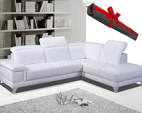 MASTEROFFICE 18 salon angle en suir