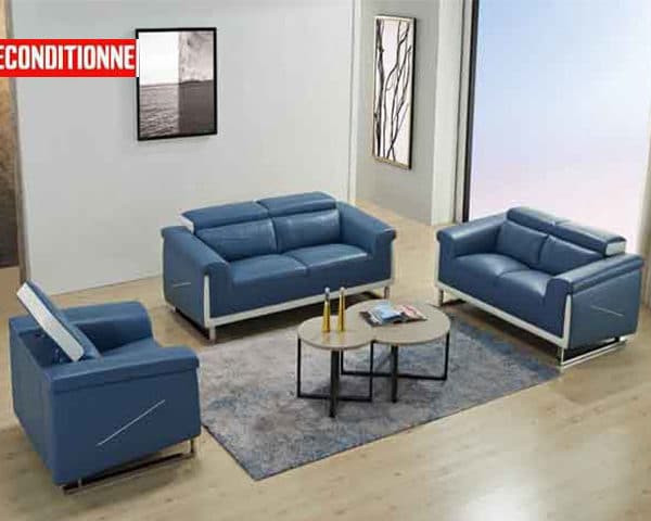 SALON CUIR 6 PLACES FM336 BLUM CLR JAUNE 15-027/MARRON FONCE LA04 REC